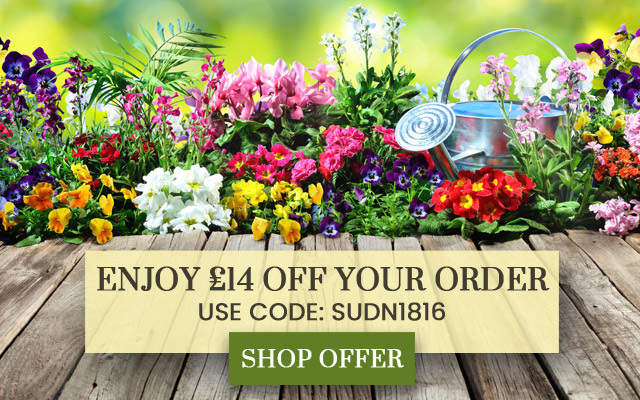 £14 OFF your order (£35 min spend)
