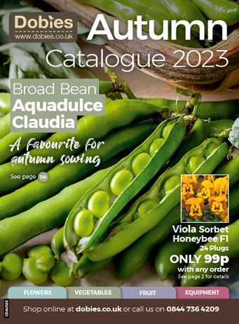 Autumn Catalogue 2023