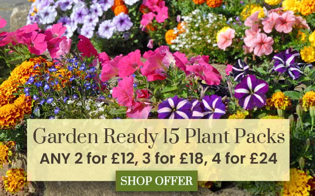 Garden Ready Mix & Match