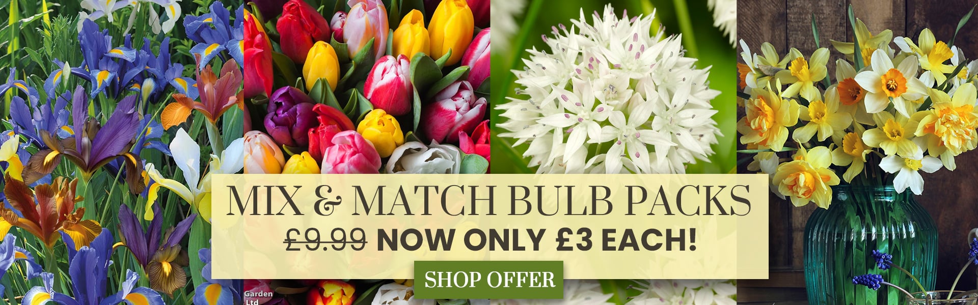 Mix & Match Bulbs