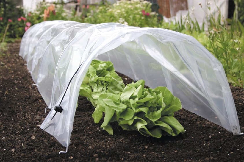Plant Protection & Netting