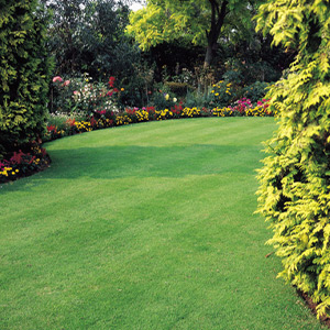 View All Lawn Care