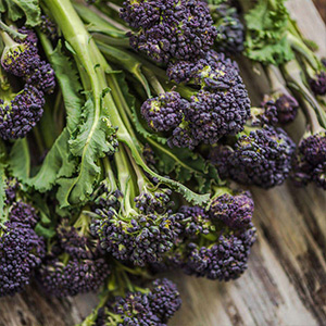 Broccoli Seeds