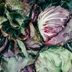 Cabbage Seeds