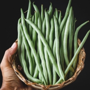 French Bean Seeds