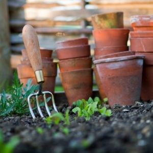 View All Grow Your Own Accessories