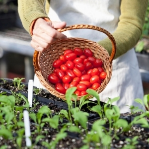 Grow Your Own Accessories