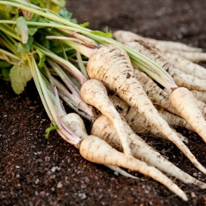 March Veg Planting