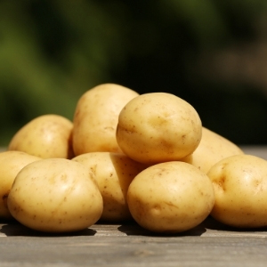 McCain Potato Range