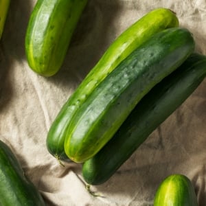Organic Courgette & Cucumber Seeds