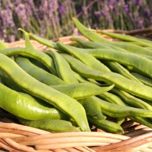 Organic Pea Seeds