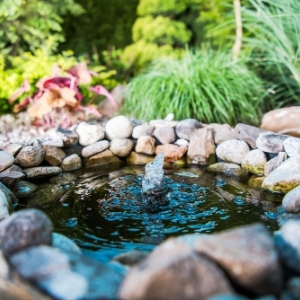 Pond Tools & Accessories