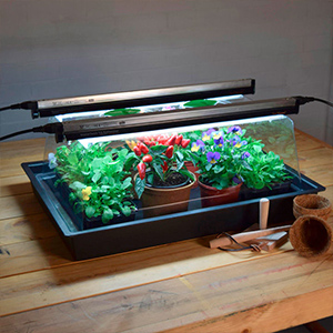 Propagators & Propagating Equipment