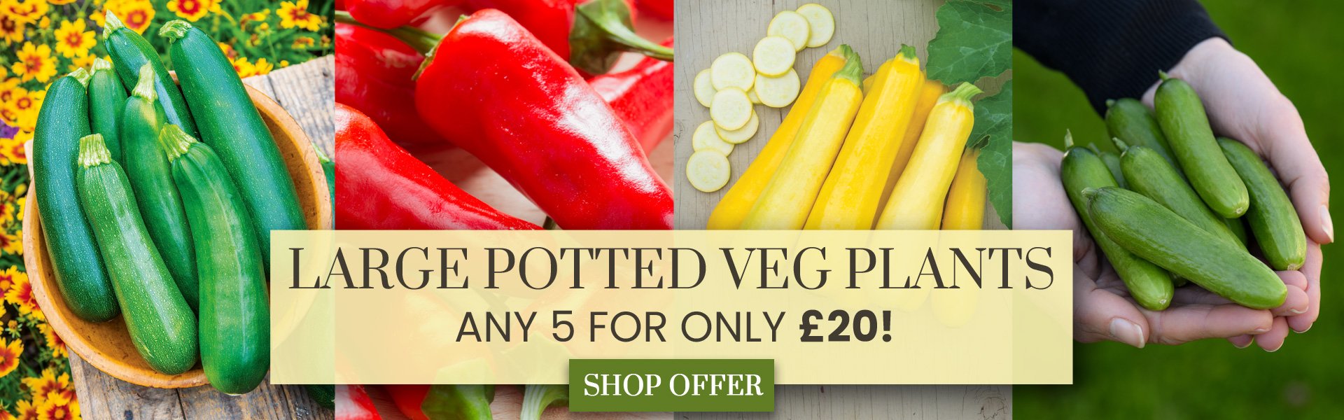 Large Veg Mix & Match Offer