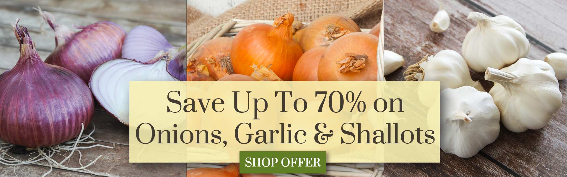 Save Up To 70% on Onions, Garlic & Shallots