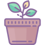 Seed Icon