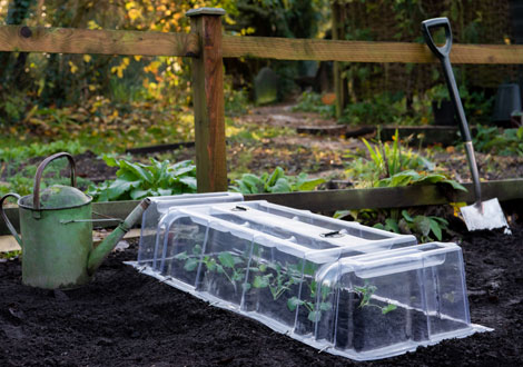 Plant Protection