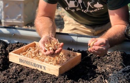 Looking for some growing advice?