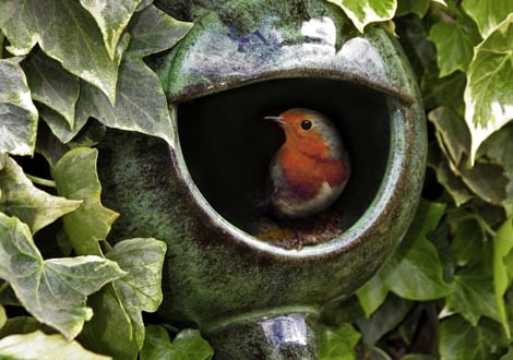 Wildlife Gifts