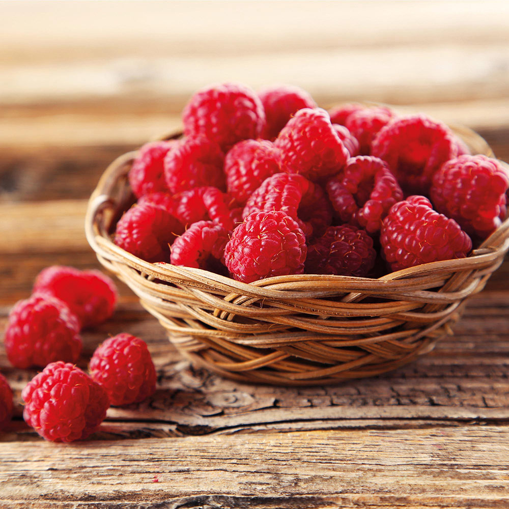 Raspberry 'Autumn Bliss' (Autumn fruiting) image