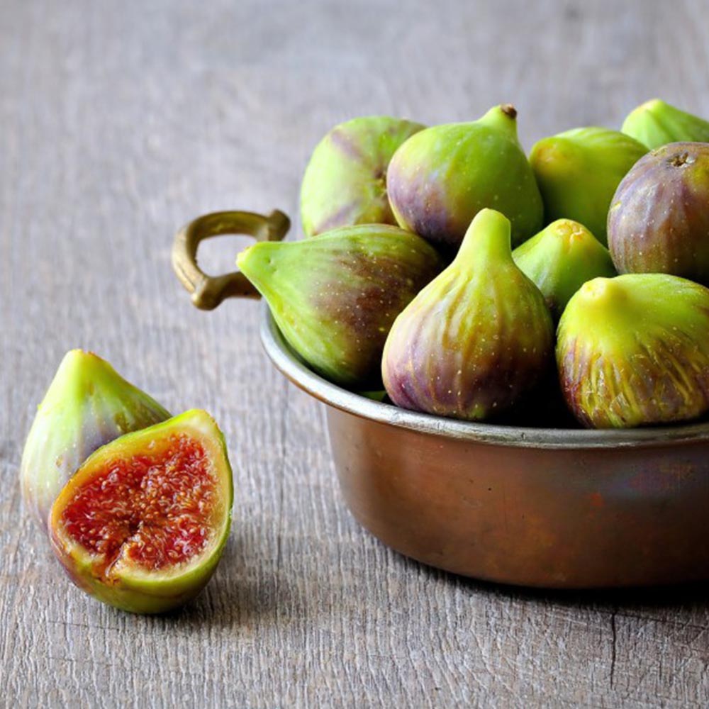 Fig 'Brunswick' image