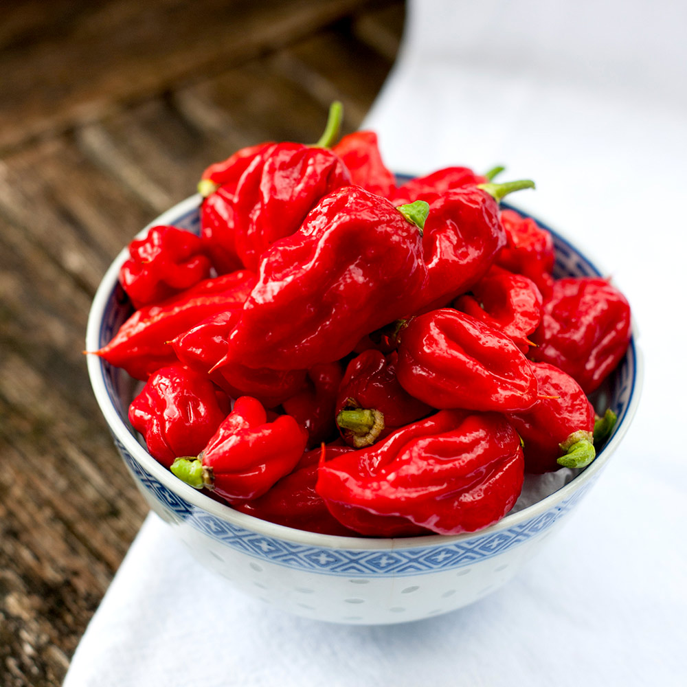 Pepper Chilli Seeds - Carolina Reaper image