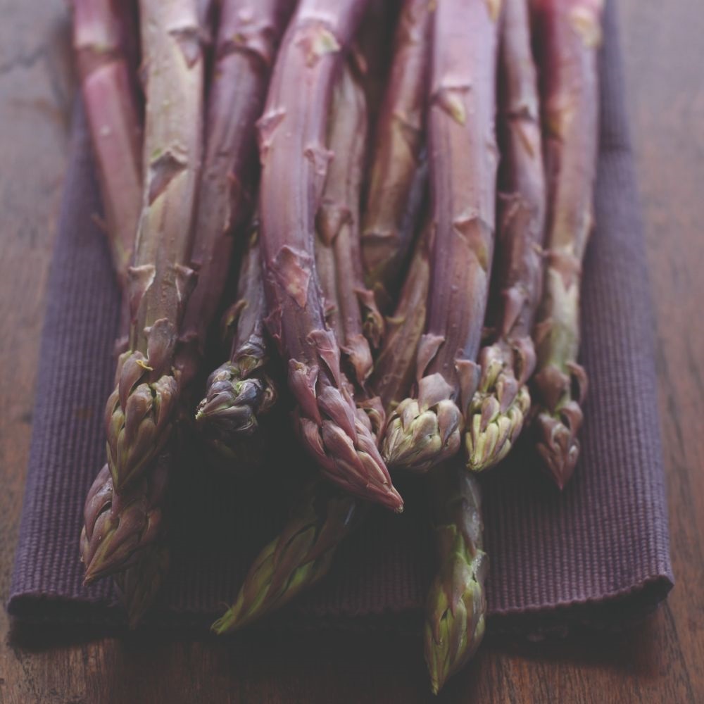 Asparagus 'Burgundine' (Spring Planting) image