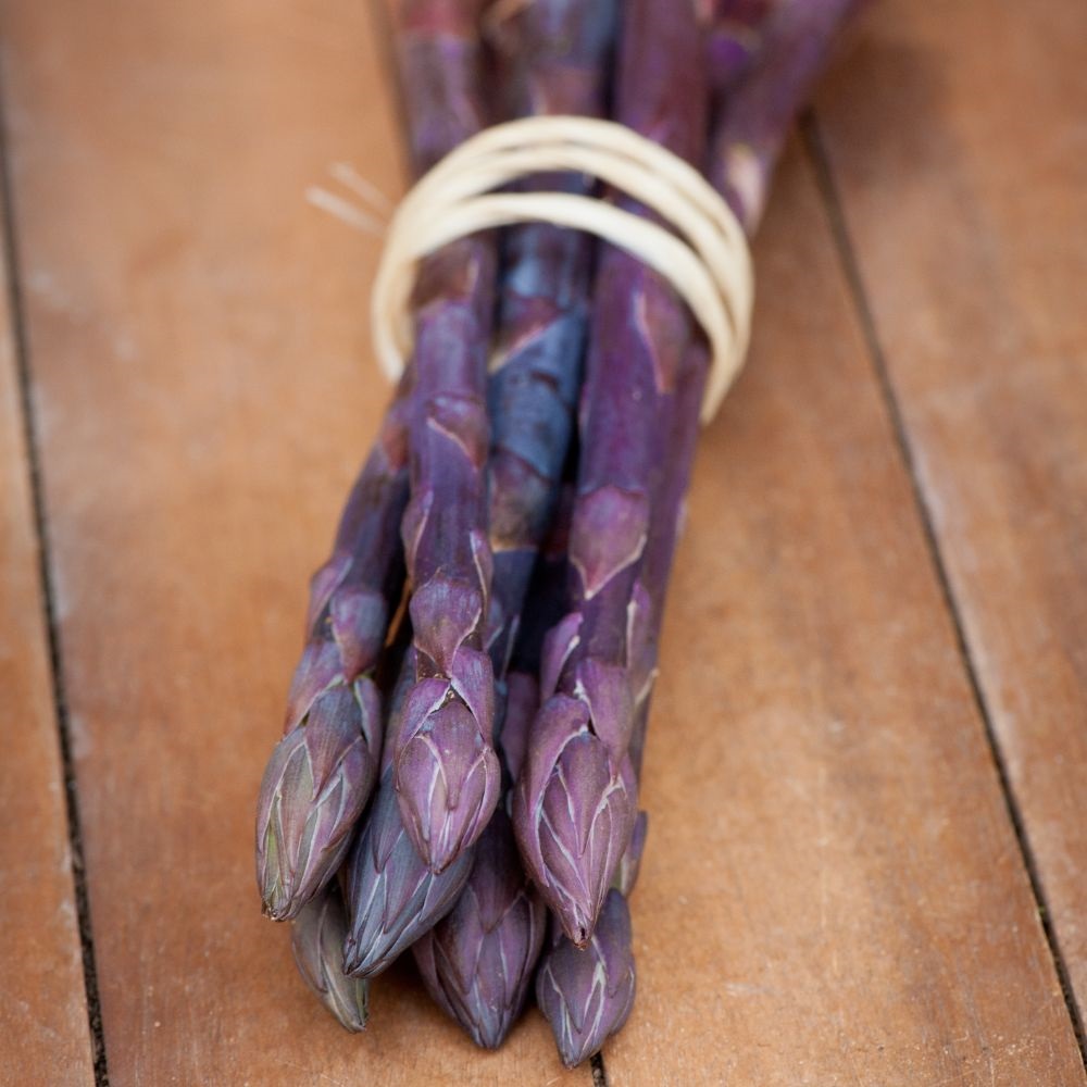 Asparagus officinalis 'Pacific Purple' (Spring Planting) image