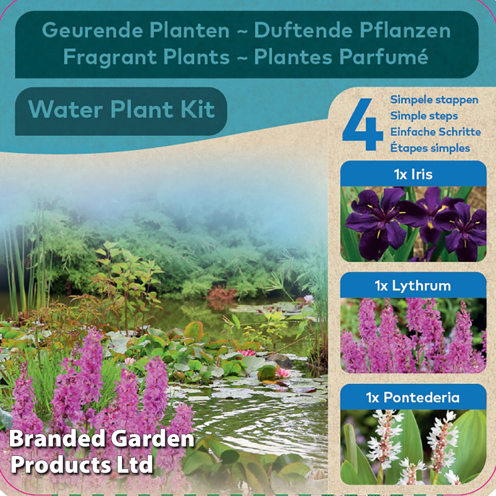 Fragrant Pond Kit image