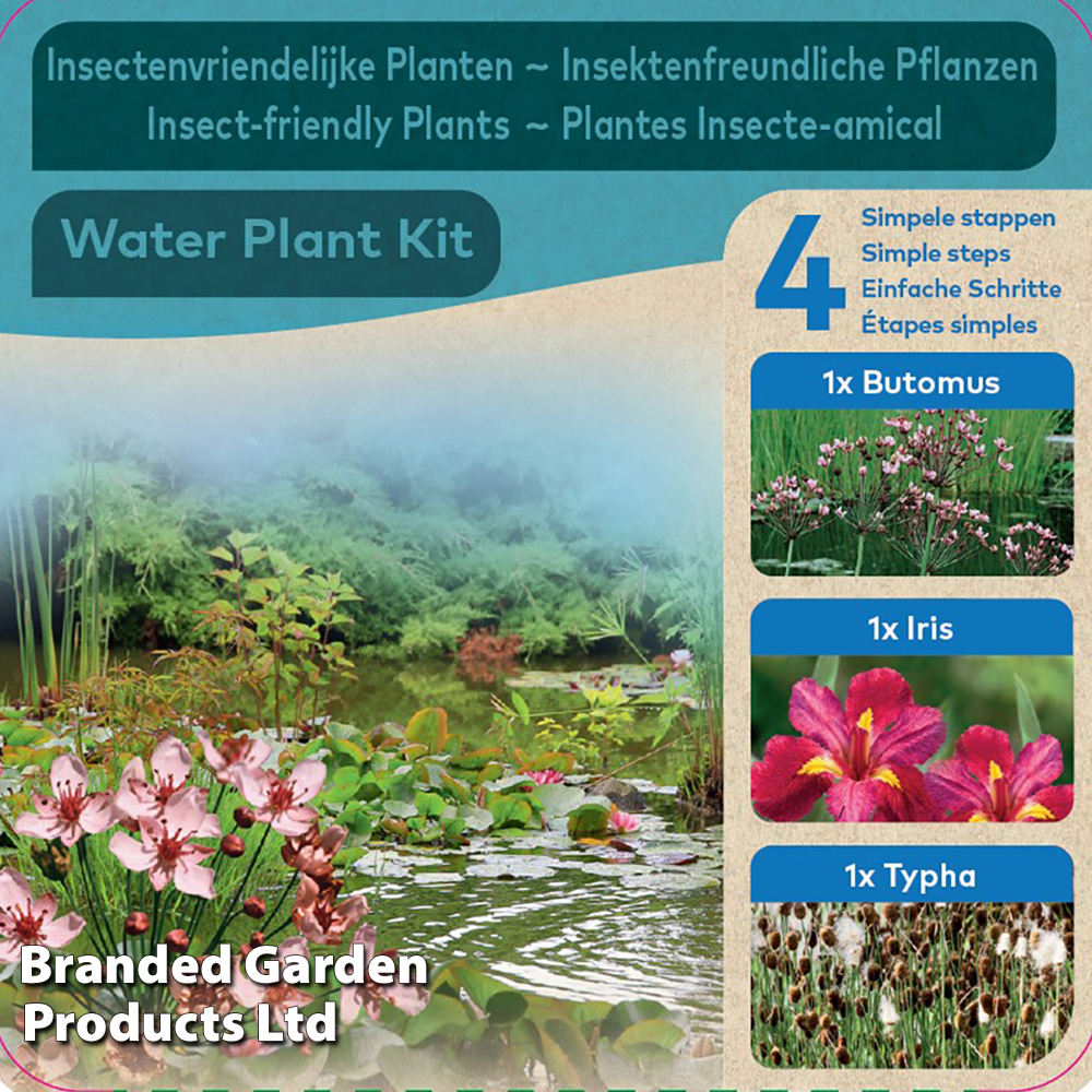 Insects Pond Kit image