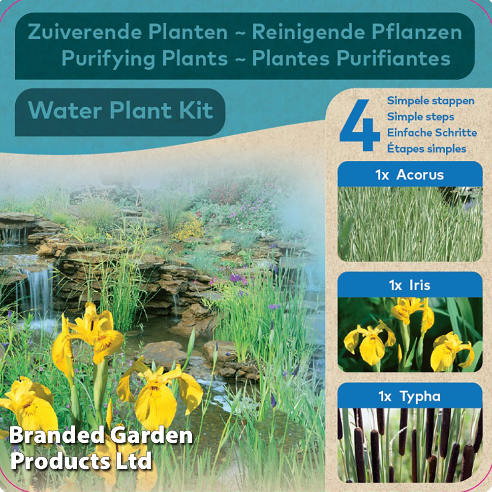 Purifying Pond Kit image