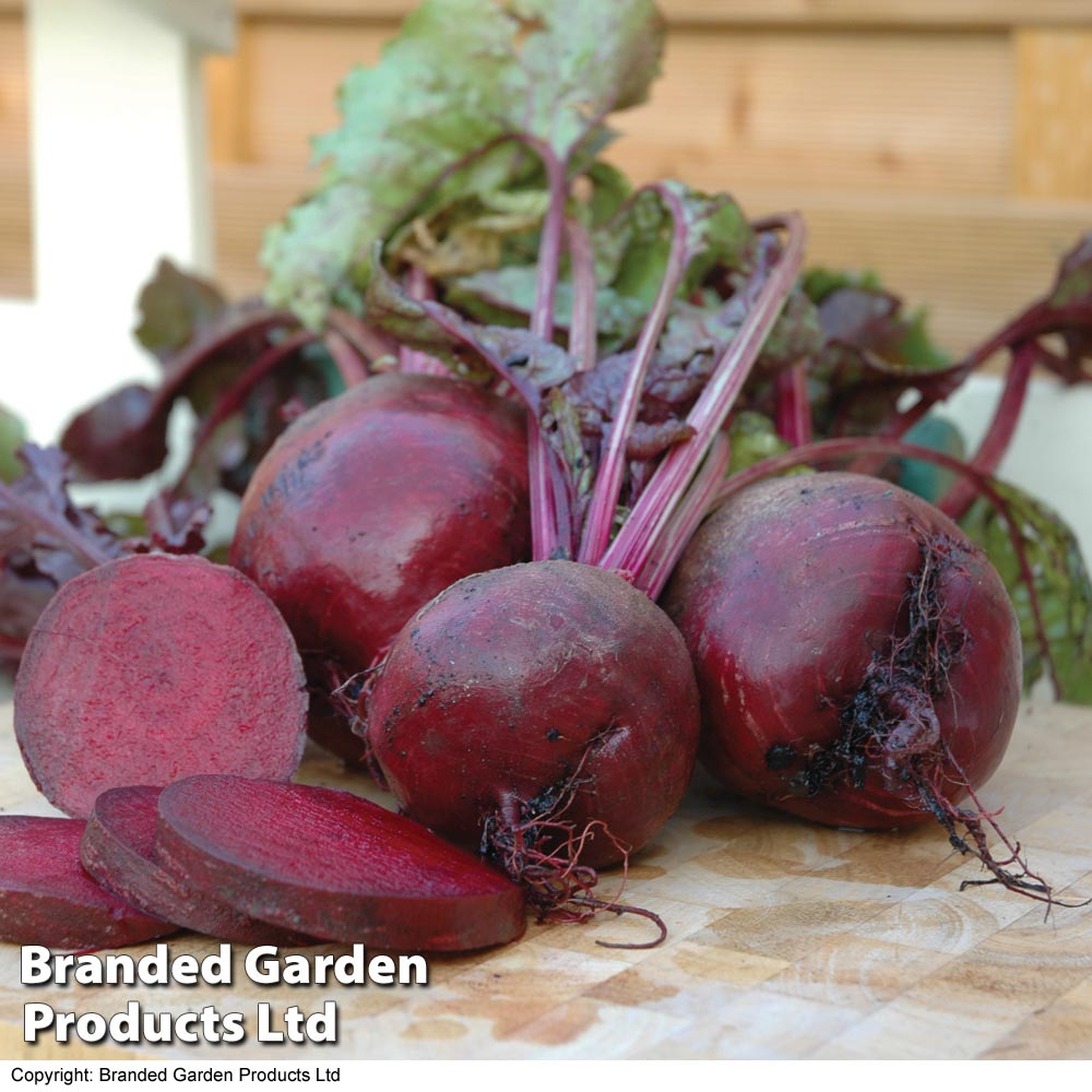 Beetroot Seeds - Boltardy image
