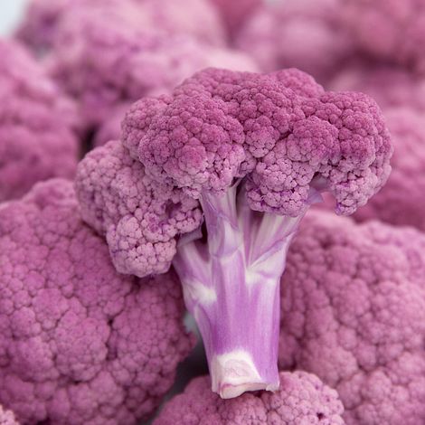 Cauliflower 'Depurple' image