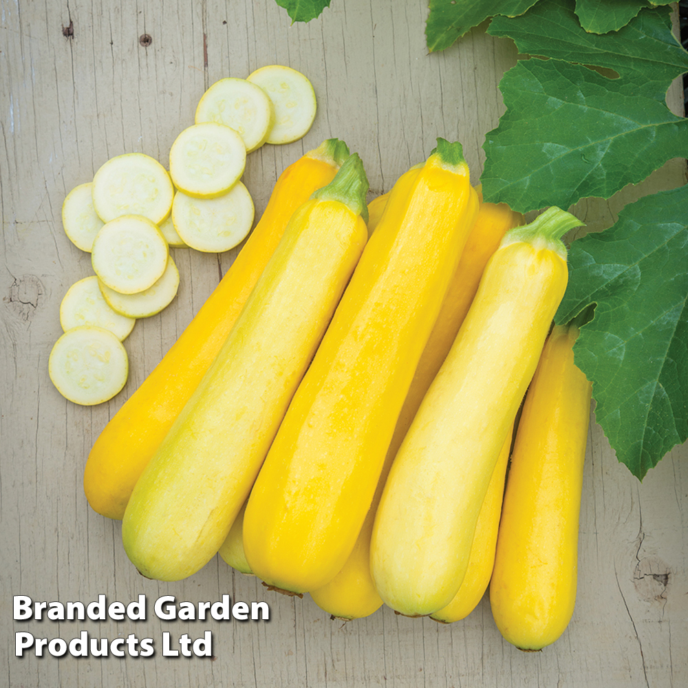 Courgette 'Butterstick' F1 - Seeds image