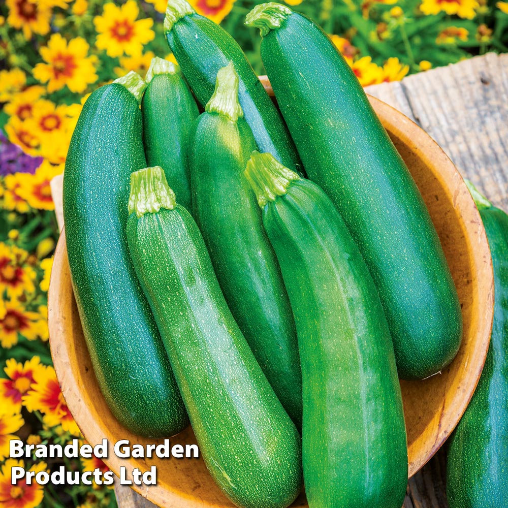 Courgette 'Sure Thing' image