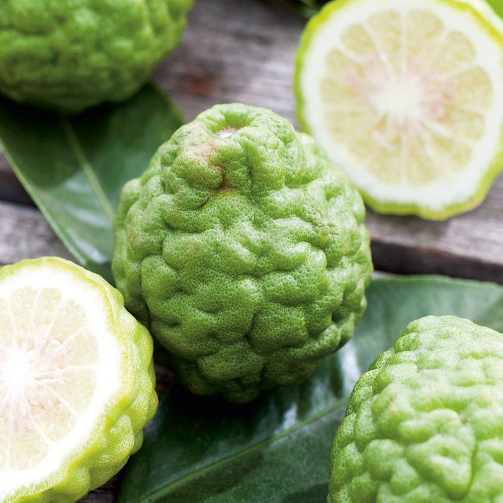 Kaffir Lime (Citrus Fruit) image