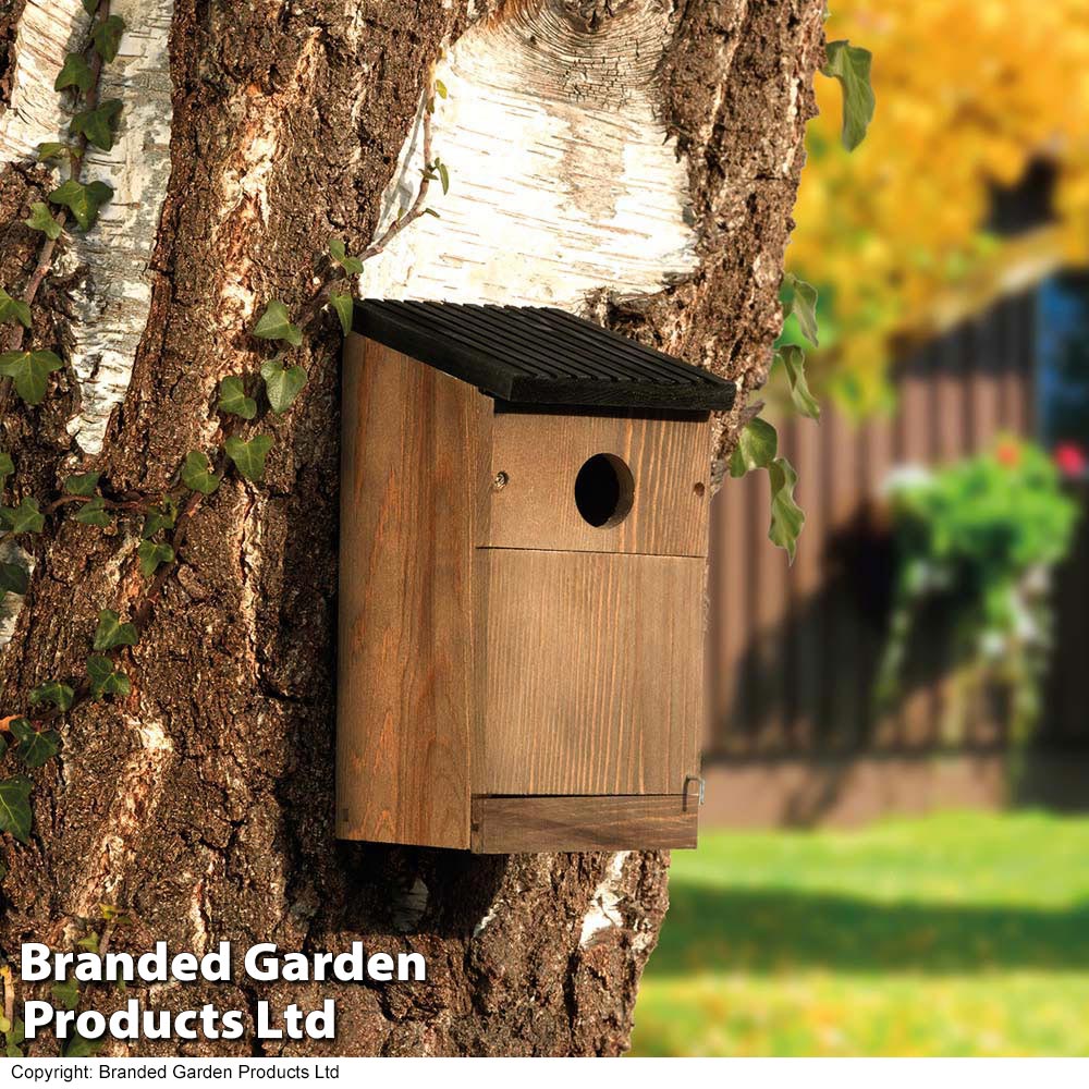 gardman nest box camera