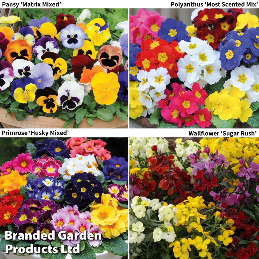 Garden Ready Autumn Collection image