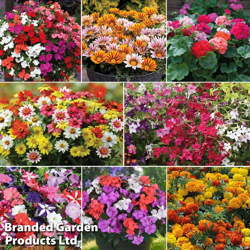 Garden Ready Bumper Colour Collection image