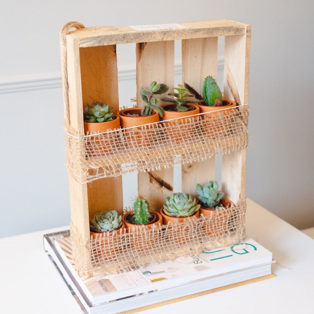 Hanging Wooden Succulent Shelf & Plants image