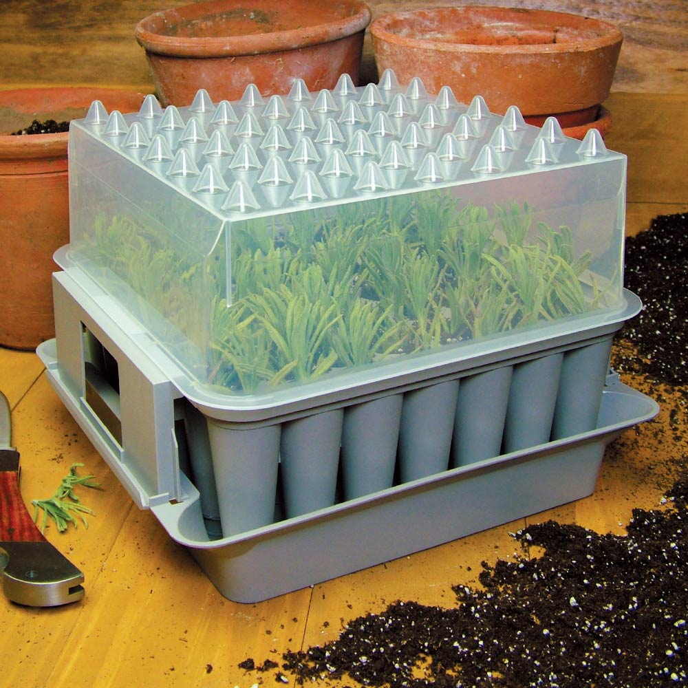 Compact plug plant trainer propagator potting tray Pack of 2 