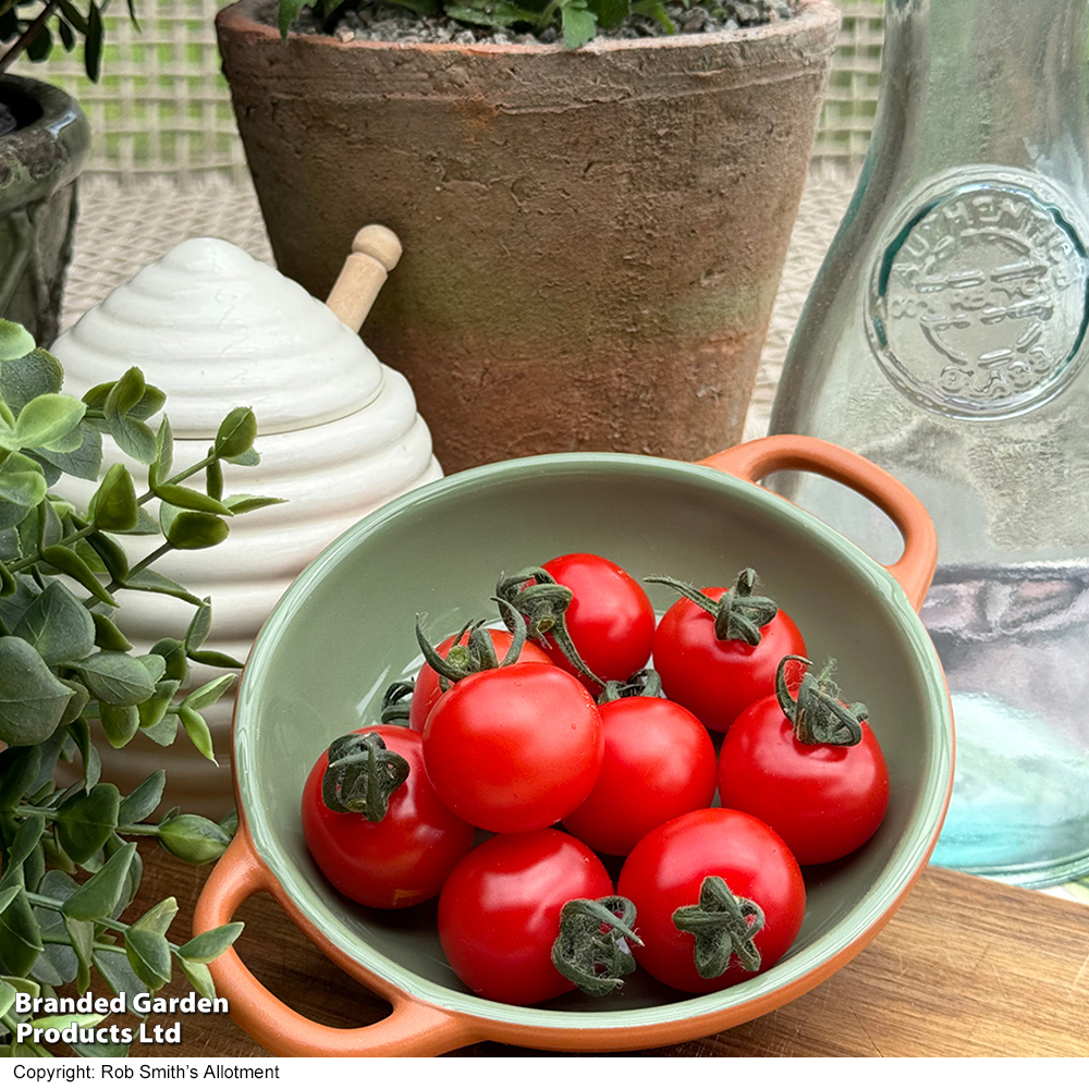 Tomato 'Honey Manuka' image