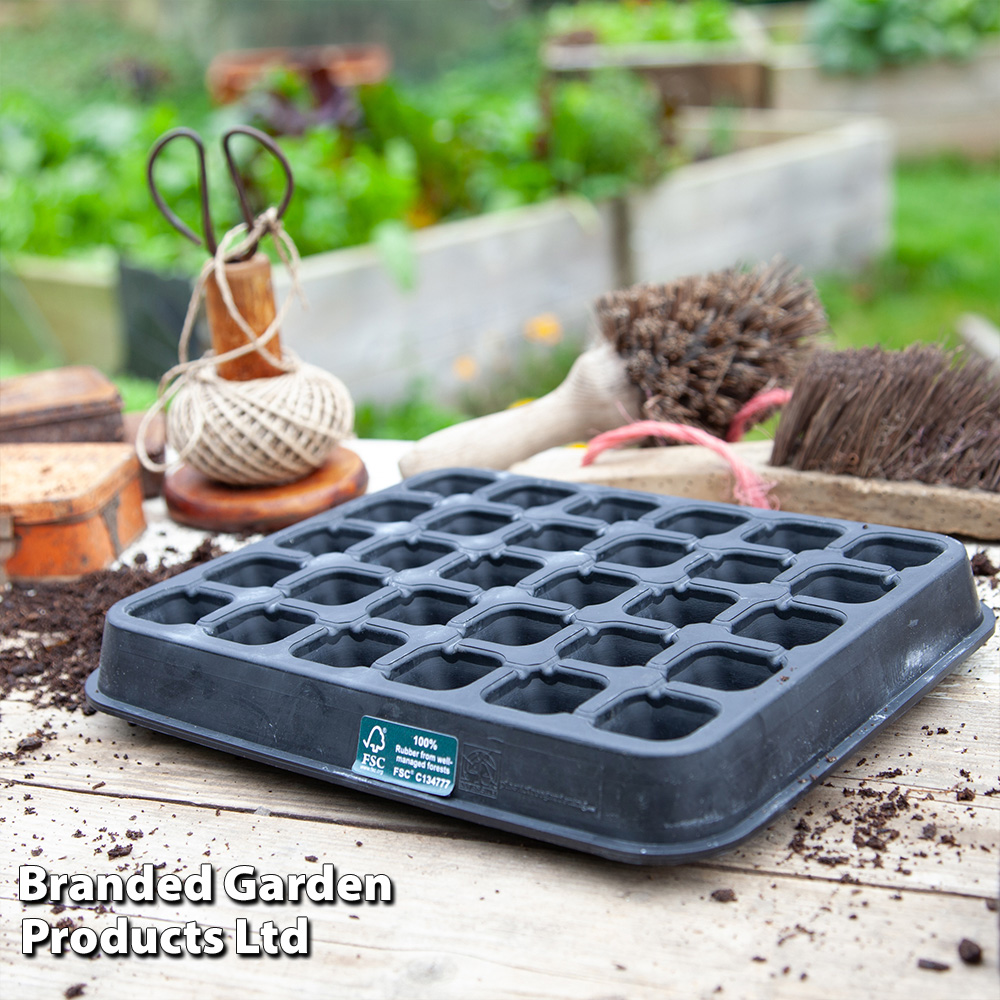 30 Cell Natural Rubber Seed Tray from Dobies