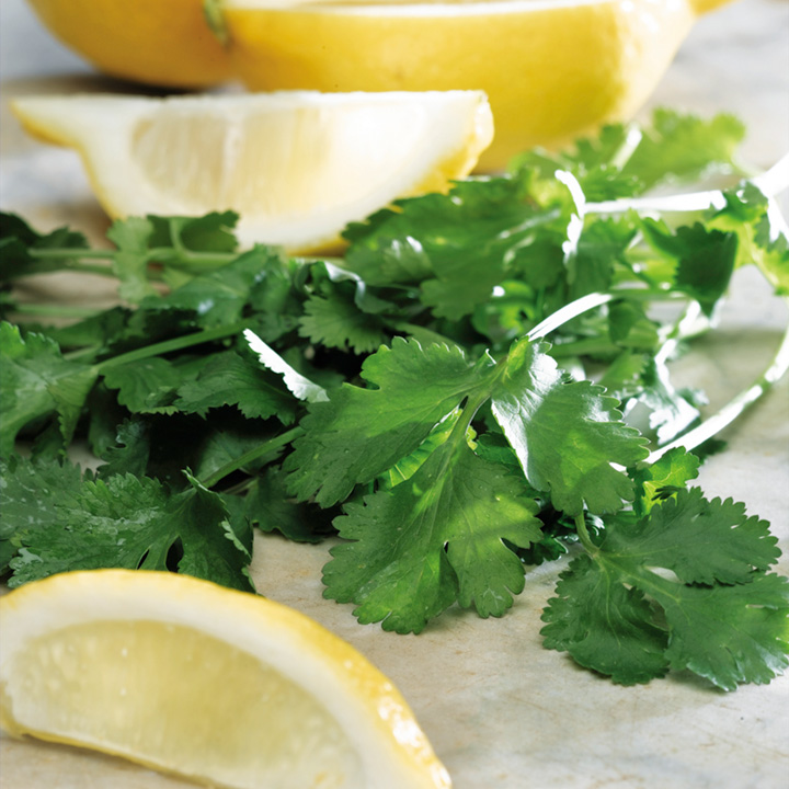 Lemon Coriander - Seeds image