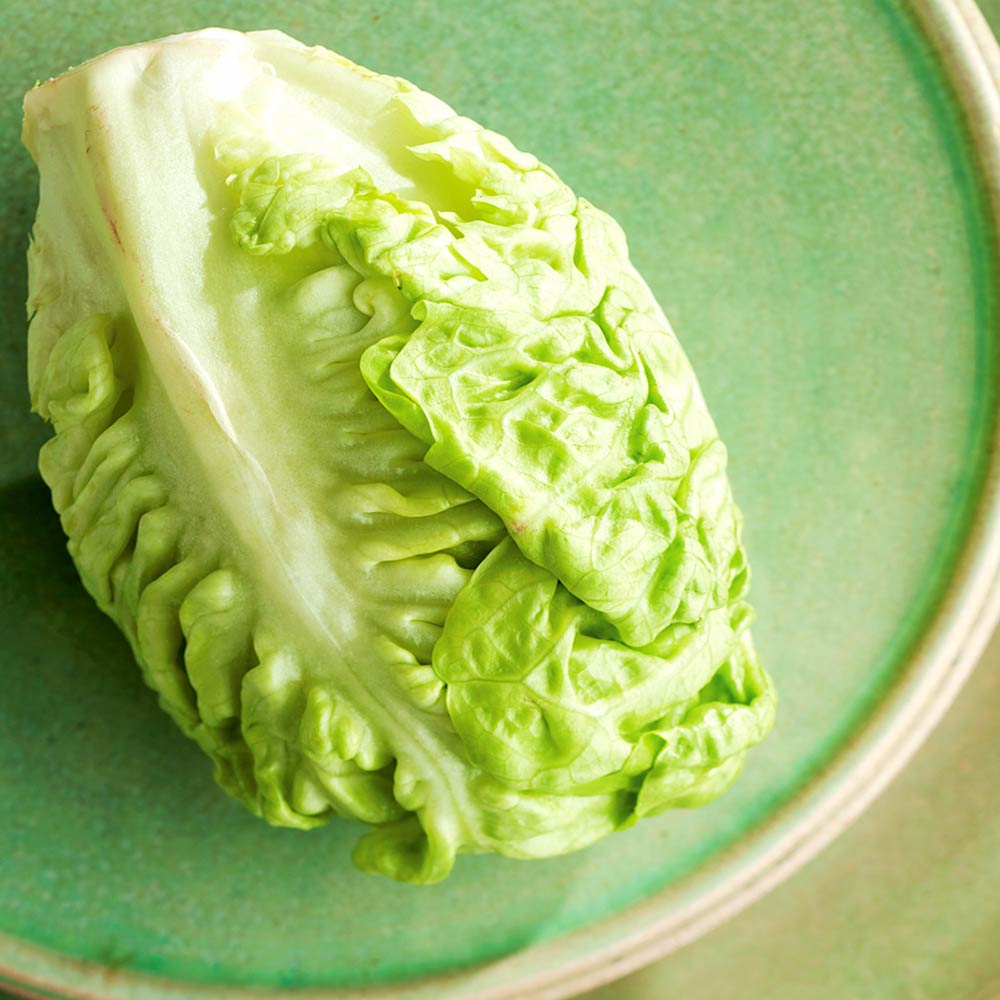 Lettuce Seeds - Little Gem image