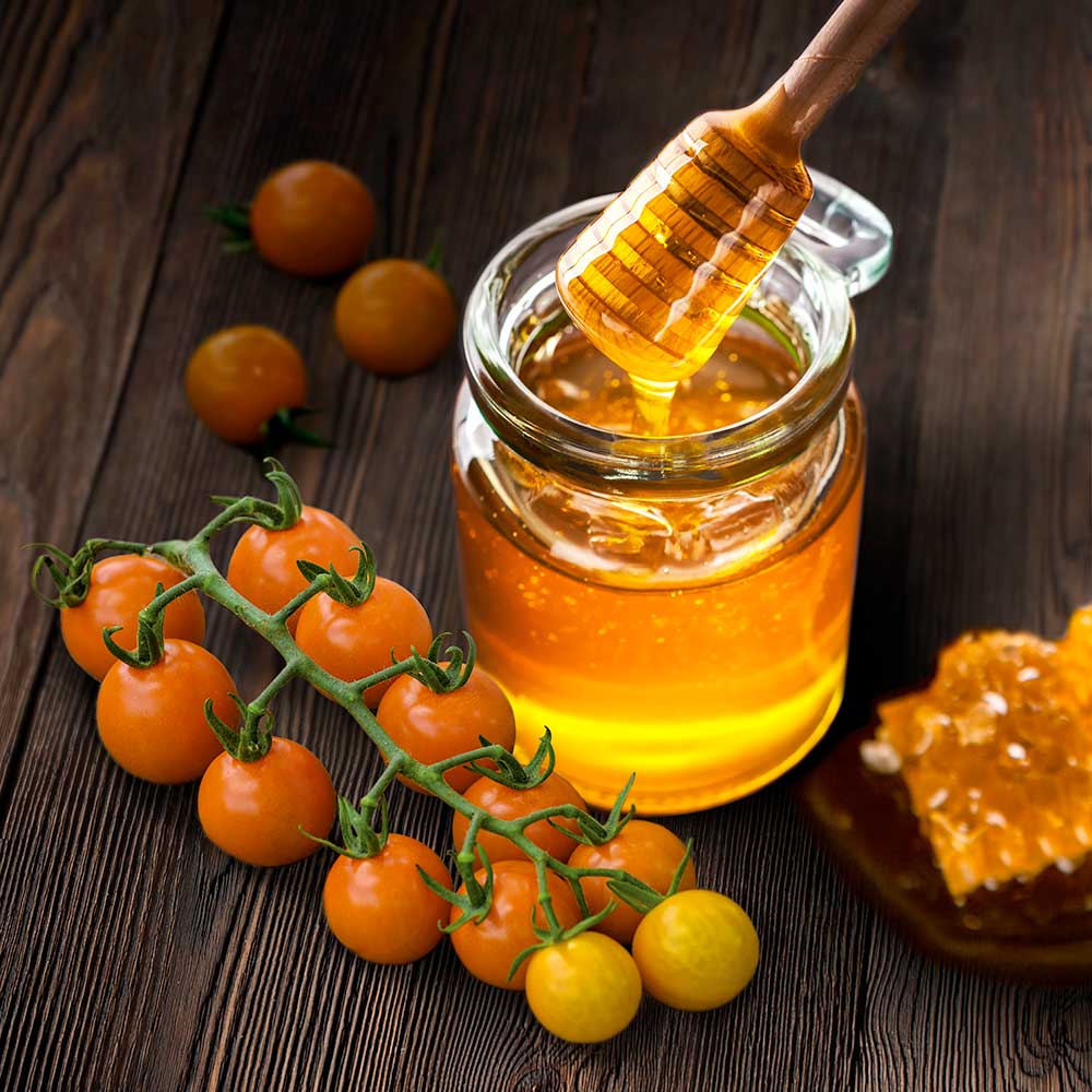 Tomato 'Honeycomb' (Grafted) image