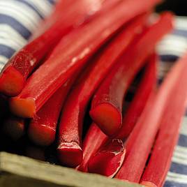 Rhubarb Champagne (Spring/Autumn Planting)