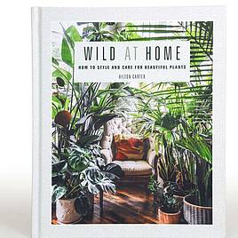 Wild At Home - How to Style and Care For Beautiful Plants