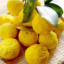 Yuzu (Citrus Fruit)