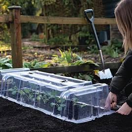 Mini Greenhouse Cloche